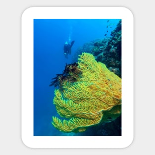 Scuba Diving in Bohol Island Philippines Sticker